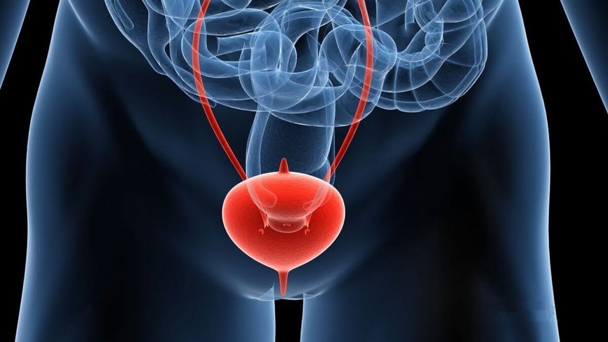 Cuánto cuesta una consulta de Tratamientos Urológicos en Pachuca Hidalgo