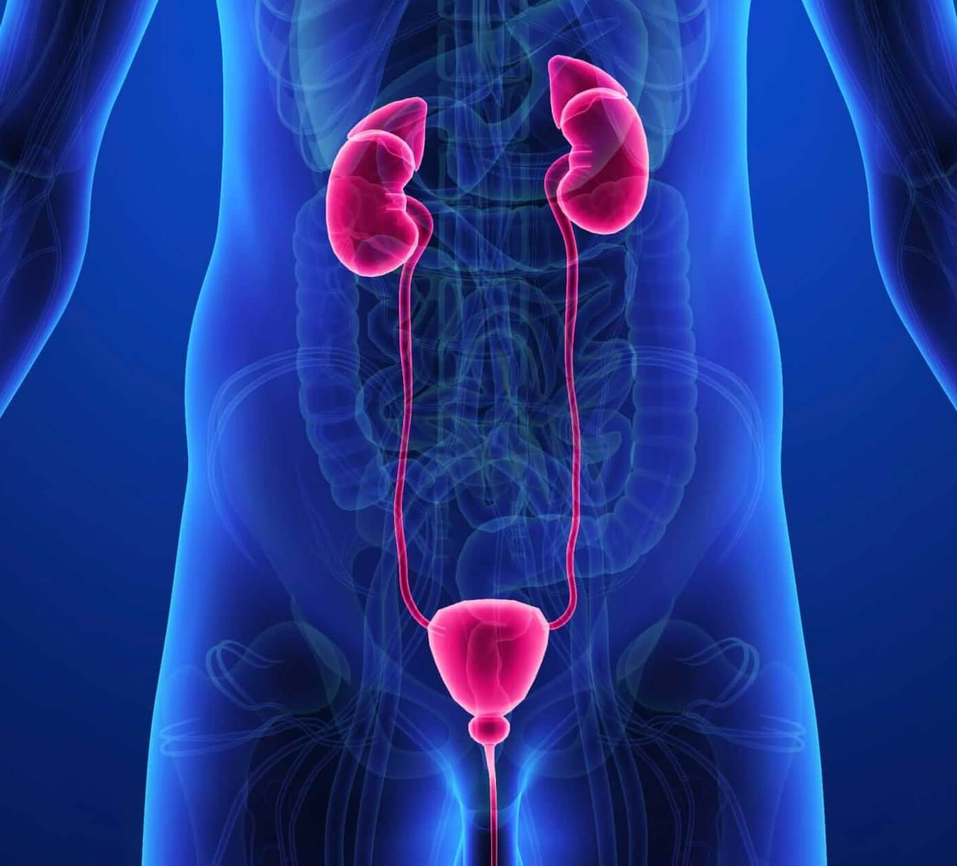 La mejor clínica especializada en urología de Hidalgo