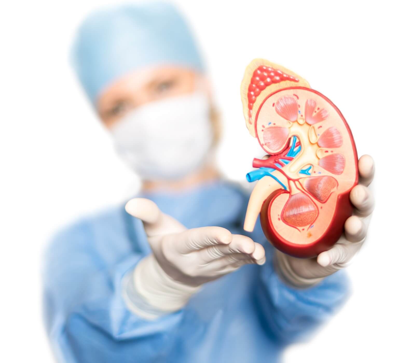 La mejor uróloga en Hidalgo